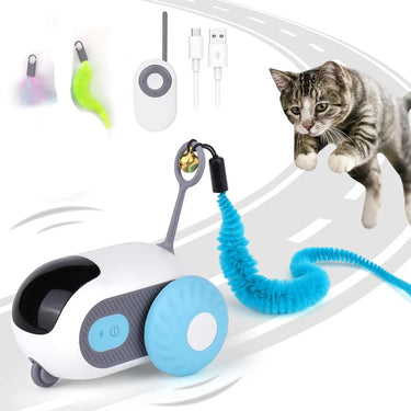 Toy Car for Cats Dogs